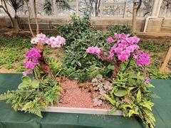 -石家庄市植物园