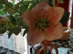 -嘉喜来比萨(罗马花园店)