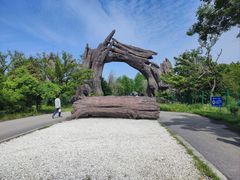 -广富林郊野公园