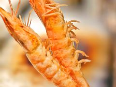 -水木锦堂·自助铁板烧(五道口购物中心店)