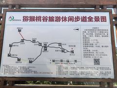 -大岭沟猕猴桃谷风景区