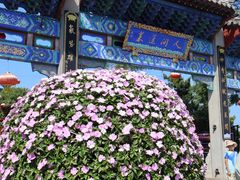 -蓬莱阁景区