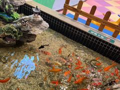 -南美元生态大酒店(海珠店)