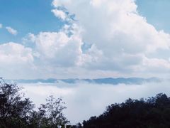 -武陵山森林公园