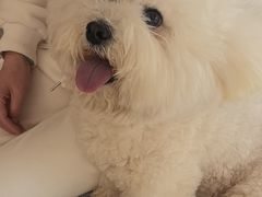 -西安京西宠物医院·瘫痪·疑难杂症