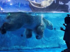 -芜湖新华联大白鲸海洋公园