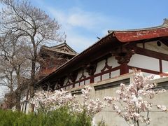 -西安青龙寺遗址景区