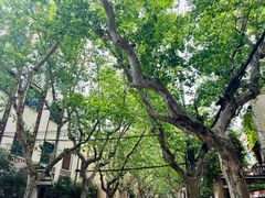 -老洋房花园饭店(绍兴路店)