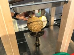 -都念榴莲·城市榴莲