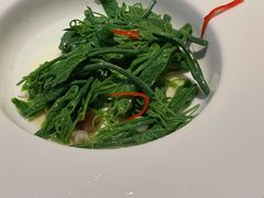 丝瓜尖-粤界(望京金辉店)
