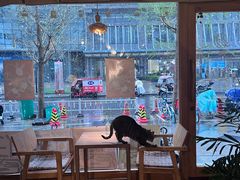 -栖咖啡(泉舜店)