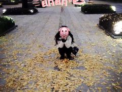 -百林公园-两江幸福广场