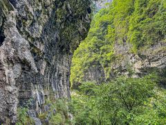 -鹿院坪生态旅游景区