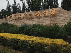 -永定河休闲森林公园