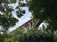 -贵阳市花溪国家城市湿地公园