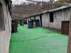 -东湖小天池真人CS彩弹野战基地