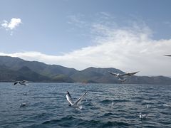 -丽江泸沽湖景区
