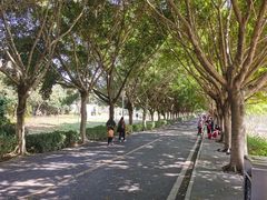 -风云岭森林公园