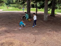 -长春公园(普阳街道)