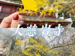 -大慈岩风景区