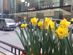 -Apple 零售店(Canton Road)