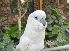 -南宫五洲植物乐园