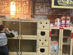 -福尔喵斯探案馆实景搜证·沉浸式剧本杀