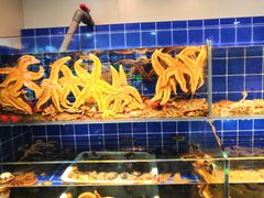 -聚百鲜海鲜烧烤私房菜(韩乐坊店)