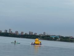 -金鸡湖景区