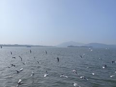 -蠡湖大桥公园