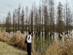 -白鹭湾湿地公园