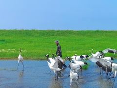 -黑龙江扎龙生态旅游区