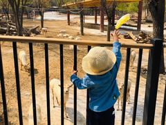 -石家庄市动物园