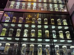 -广东中医药博物馆
