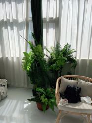 点击看大图 -小阿福儿童摄影(华中智谷店)