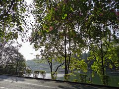 -三水森林公园
