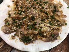 -东鸽皇(奥园·中环广场店)