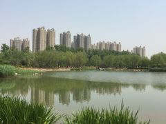 -燕郊植物园