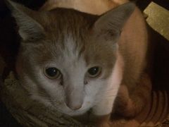 -江湖边·小生活