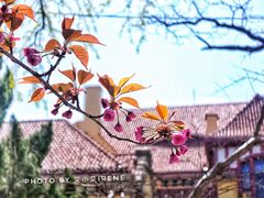 -青岛德国总督楼旧址博物馆