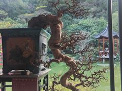 -云溪植物园