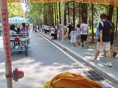 -日照海滨国家森林公园