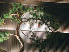 -大拙里·精致融合菜(沙湖桃源国际店)