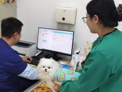 -派美特宠物医院·核磁CT·骨科肿瘤·疑难转诊(沈农禾丰店)