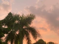 景点-广州长隆水上乐园