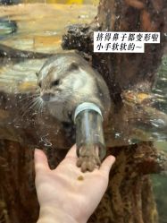 -Zoolung Zoolung动物主题公园(海信广场店)