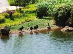 -三岔湖环球融创天堂洲际酒店水乐园