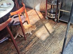 -肥仔文澳门猪骨煲(南京西路店)