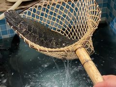 -九寨沟石锅鱼(沣峪口店)