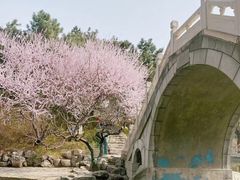 -团结湖公园